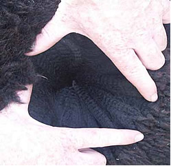 Discovery's fleece